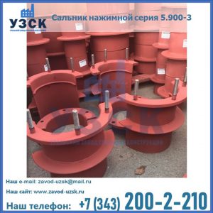 Сальники нажимные серия 5.900-3 в Ноябрьске
